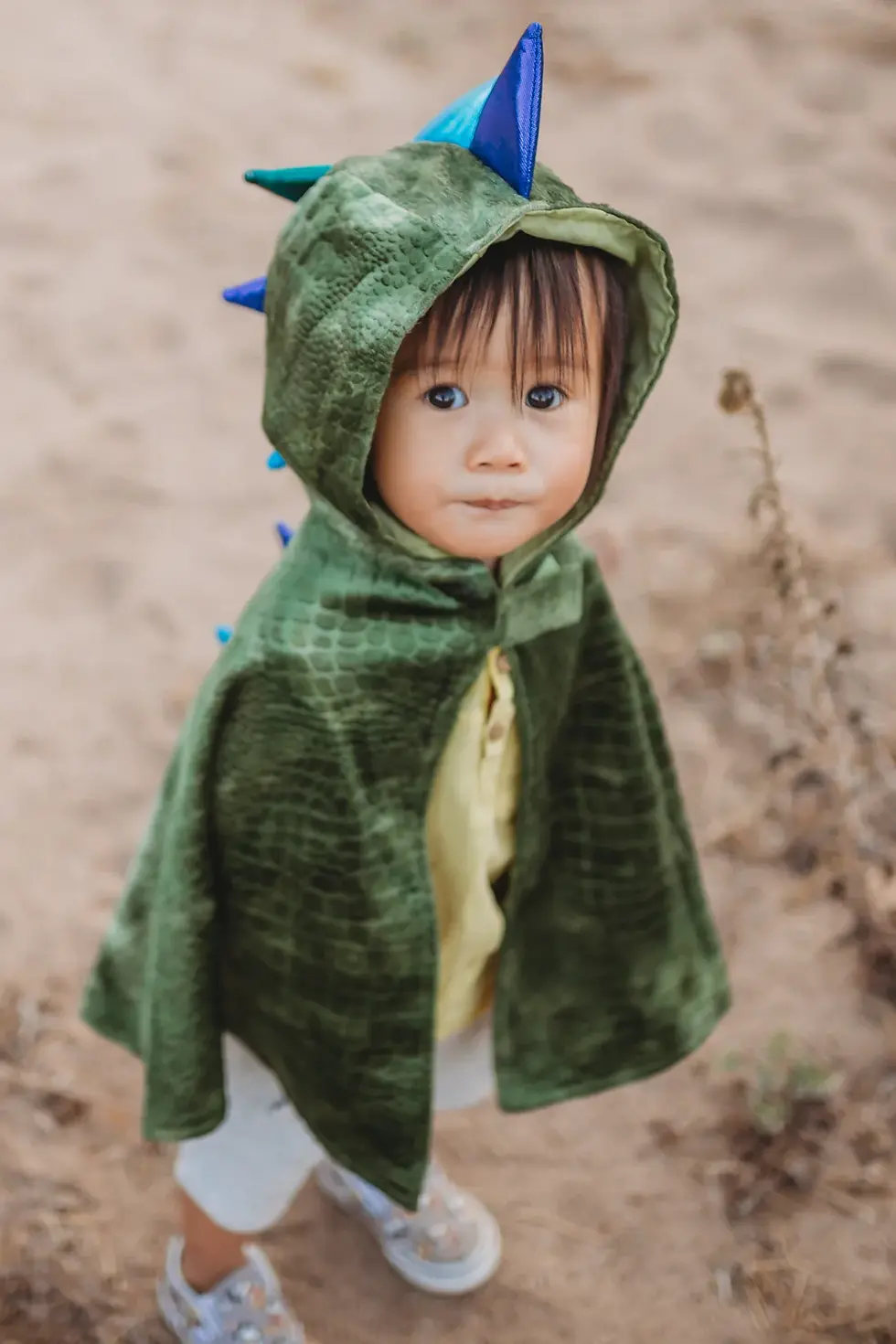 Miniature : Cape dragon (2-3 ans)