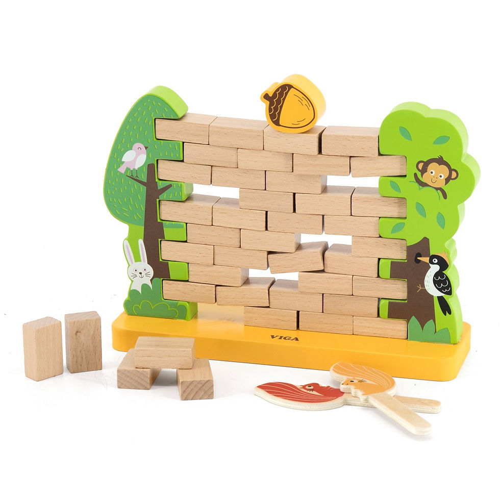 Miniature : Jeu le "mur fragile"