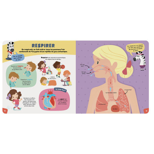 Miniature : Livre : Les super-curieux - le corps humain