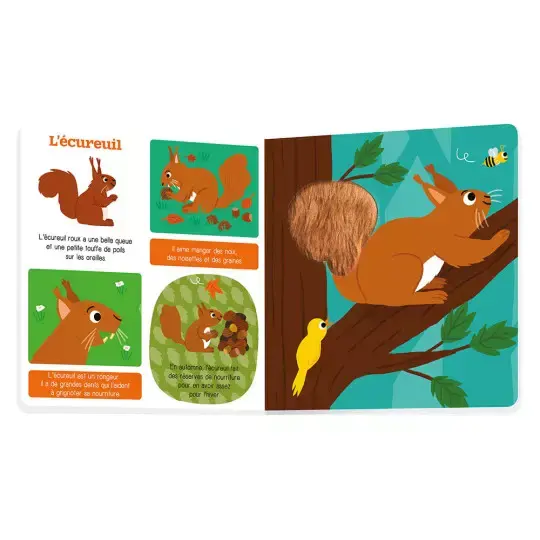 Miniature : Les p'tits tout doux - les animaux de la foret