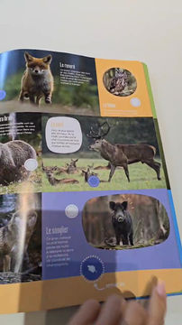 Miniature : Mon grand livre sonore – animaux