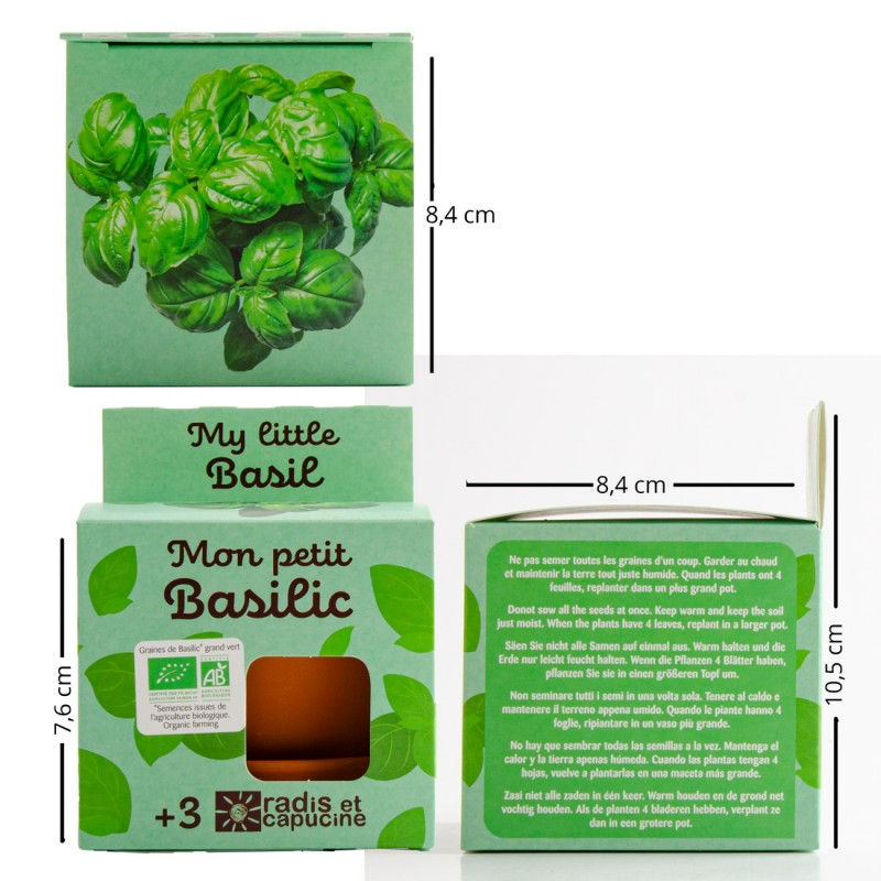 Miniature : Mon petit basilic à faire pousser - 8 cm