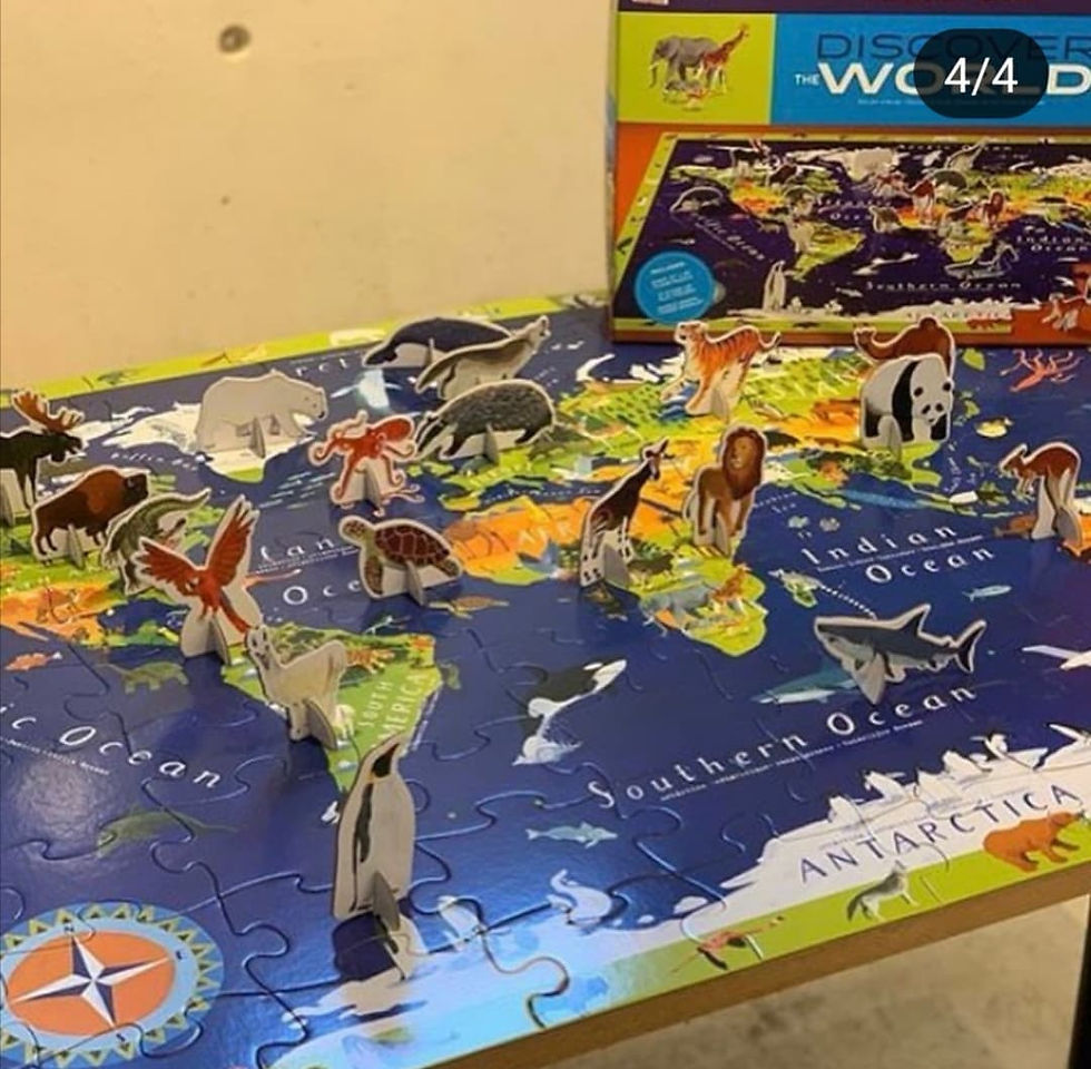 Miniature : Puzzle découverte - animaux du monde
