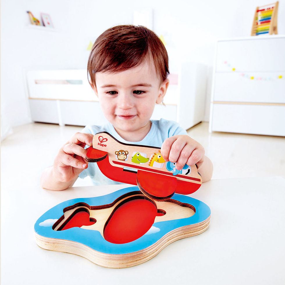 Miniature : Puzzle 3D : avion