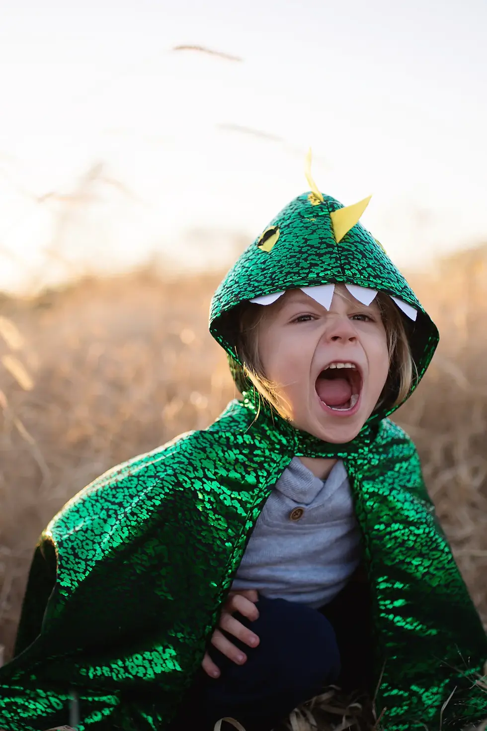 Miniature : Cape dragon métallique (2-3 ans)