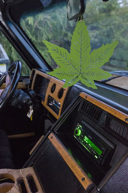 Interior_Potleaf_-(5)