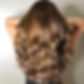 HAIR.jpg