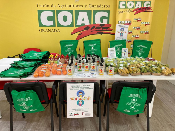 FOMENTO DE LA IGUALDAD Y HÁBITOS SALUDABLES Y SOSTENIBLES ENTRE ESCOLARES