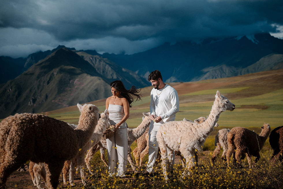 Andrew and Lexis walking among alpacas in Peru's Sacred Valley, with dramatic storm clouds over the Andes Mountains during their surprise proposal experience.
