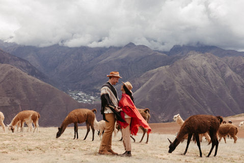 Couple walking among llamas after Andean ceremony in the Sacred Valley of Peru