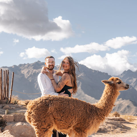 Engaged couple posing with alpaca during romantic mountain proposal in the Sacred Valley of Peru.