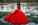 Fotoshoting RED LADY