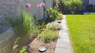schöne Pflanzung mit Alium und Gräsern. Mauerblöcke und Sichtschutzelemente. Im Hintergrund ein Hochbeet mit Bambus und eine Überdachung
