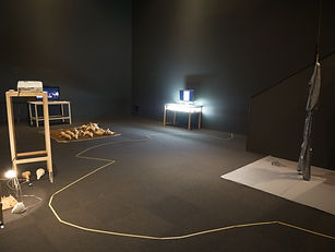 P1204331.JPG