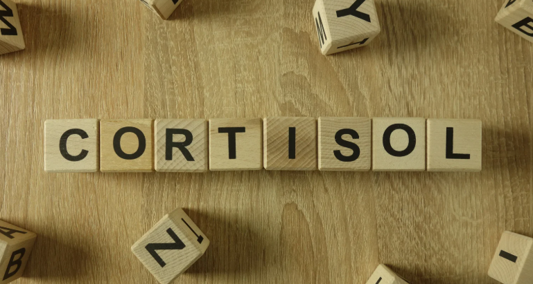 cortisol