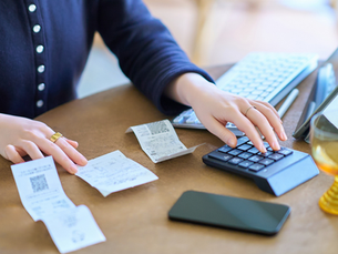 expense tracking software