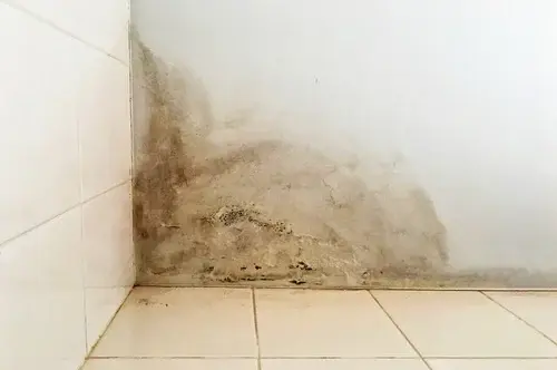 Water damage in the corner