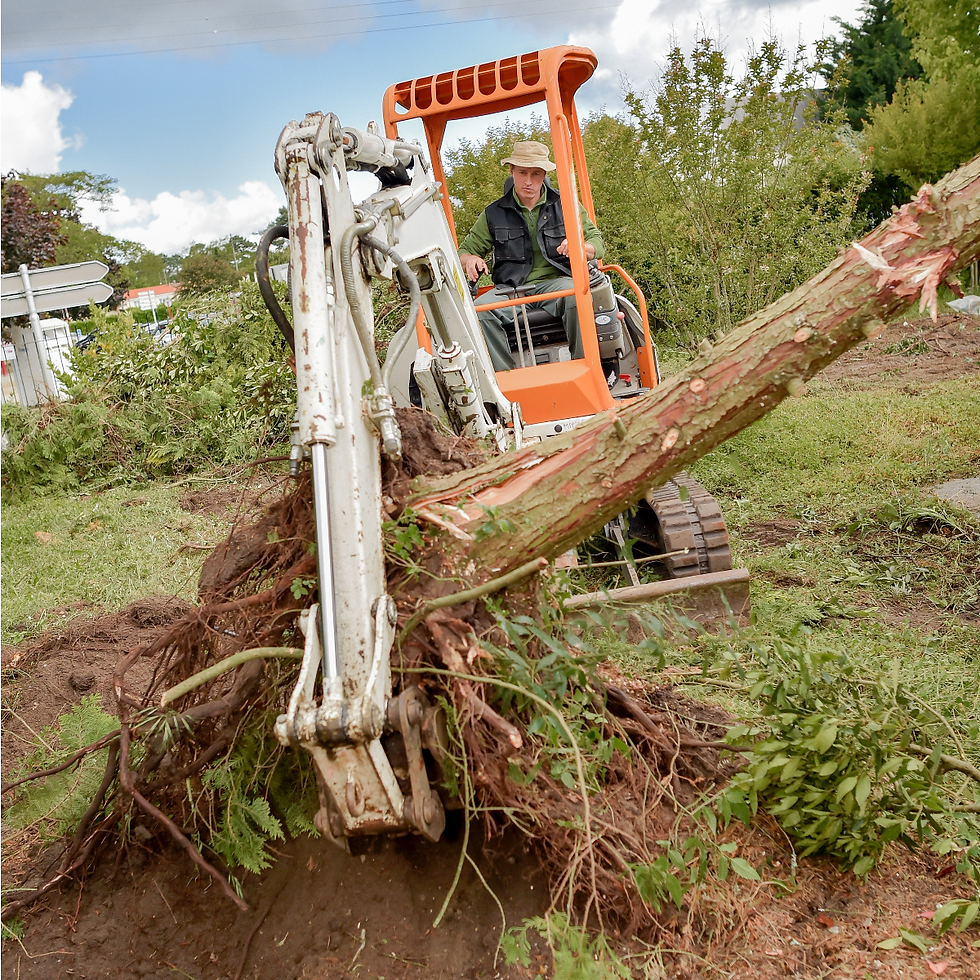 Safeguard your property from hazards and reclaim your view with Cascade Tree Services' expert tree removal solutions in Utah. Leaning trees or obstructive views pose risks that our licensed and insured professionals mitigate efficiently. With professional-grade tools and proven procedures, we ensure safe and thorough tree removal, whether for urgent needs or storm damage cleanup. Trust us for clear-cut results and peace of mind. Contact us today for reliable tree removal services near you.