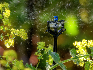 irrigation system