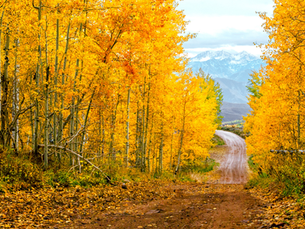 Fall Plumbing Maintenance