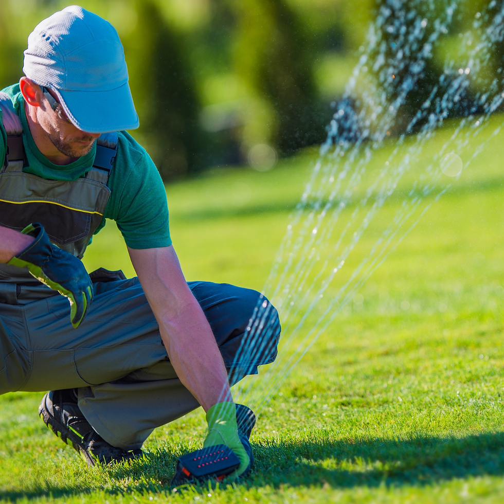 sprinkler system repair