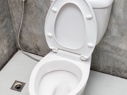 toilet gurgling