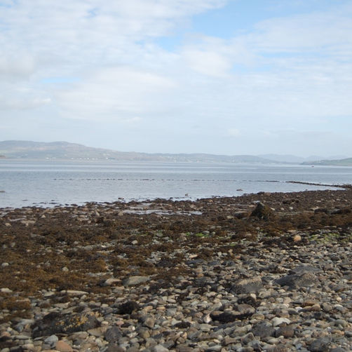 The tides of knowledge