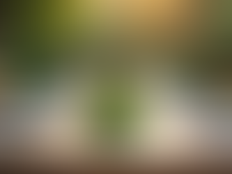 Top 3 Award Winning Restaurants to Try in Salt Lake City, Utah. - Best Restaurant in Salt Lake City