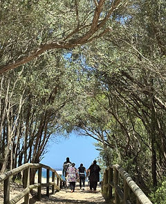 Rewire at Saltbush.jpg