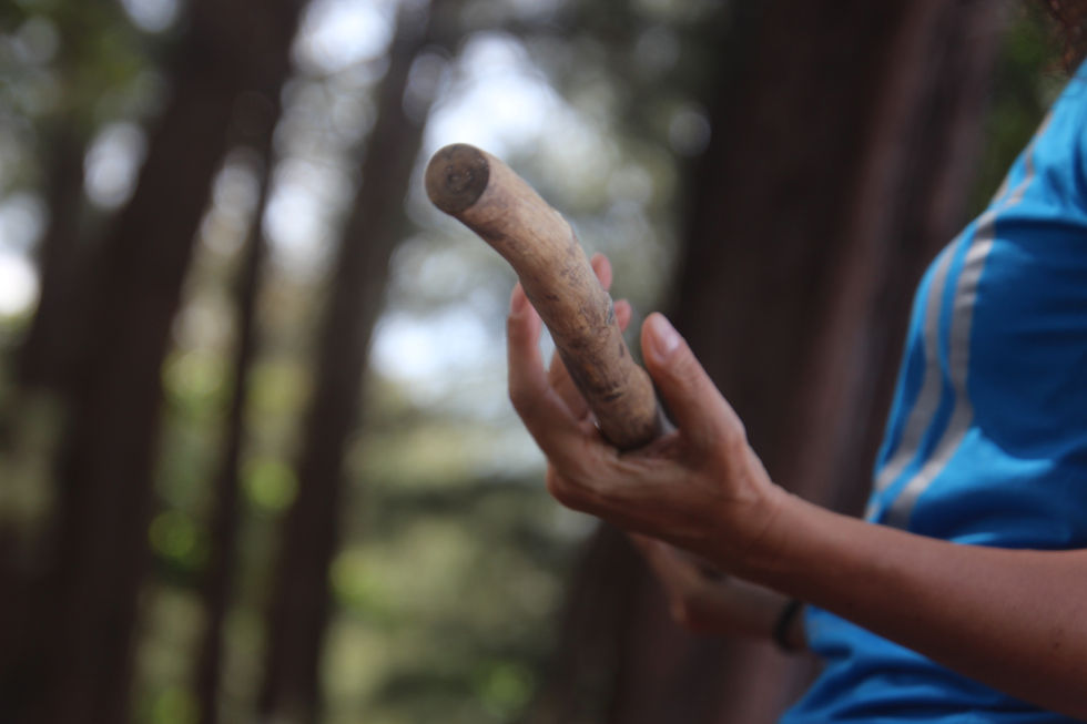 Holding a talking stick.jpg