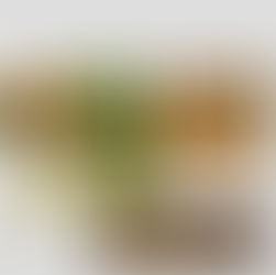 メンバーから皆様へ