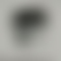 メンバーから皆様へ