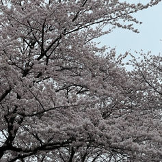 メンバーから皆様へ