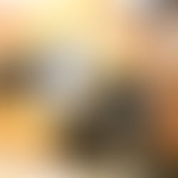 メンバーから皆様へ