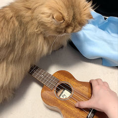 メンバーから皆様へ