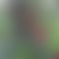 メンバーから皆様へ