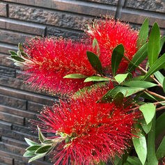 メンバーから皆様へ