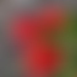 メンバーから皆様へ