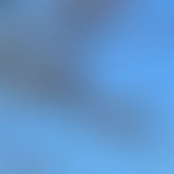 メンバーから皆様へ