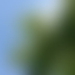 メンバーから皆様へ