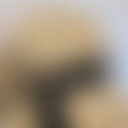 メンバーから皆様へ