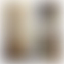 メンバーから皆様へ