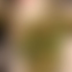 メンバーから皆様へ