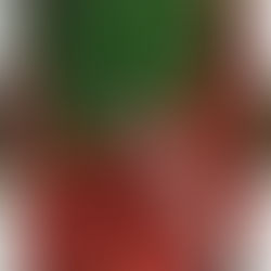 メンバーから皆様へ