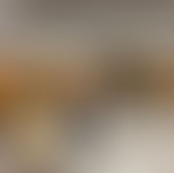 メンバーから皆様へ