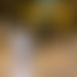 メンバーから皆様へ