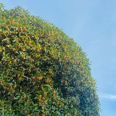 メンバーから皆様へ