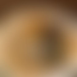 メンバーから皆様へ