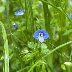 メンバーから皆様へ