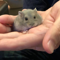 メンバーから皆様へ